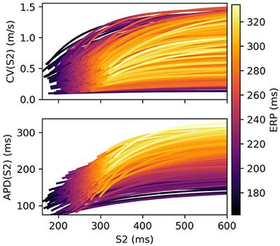 Bayesian Calibration of Electrophysiology Models Using Restitution Curve Emulators